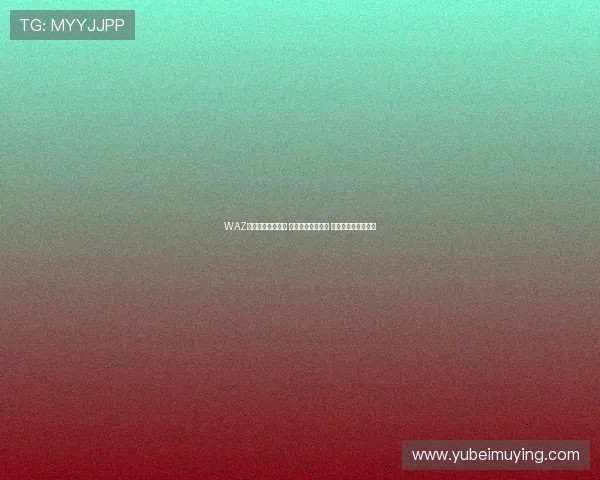 WAZ评沙尔克球员表现 西拉延续良好状态 法乌齐荣膺最佳球员