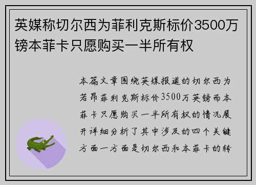 英媒称切尔西为菲利克斯标价3500万镑本菲卡只愿购买一半所有权